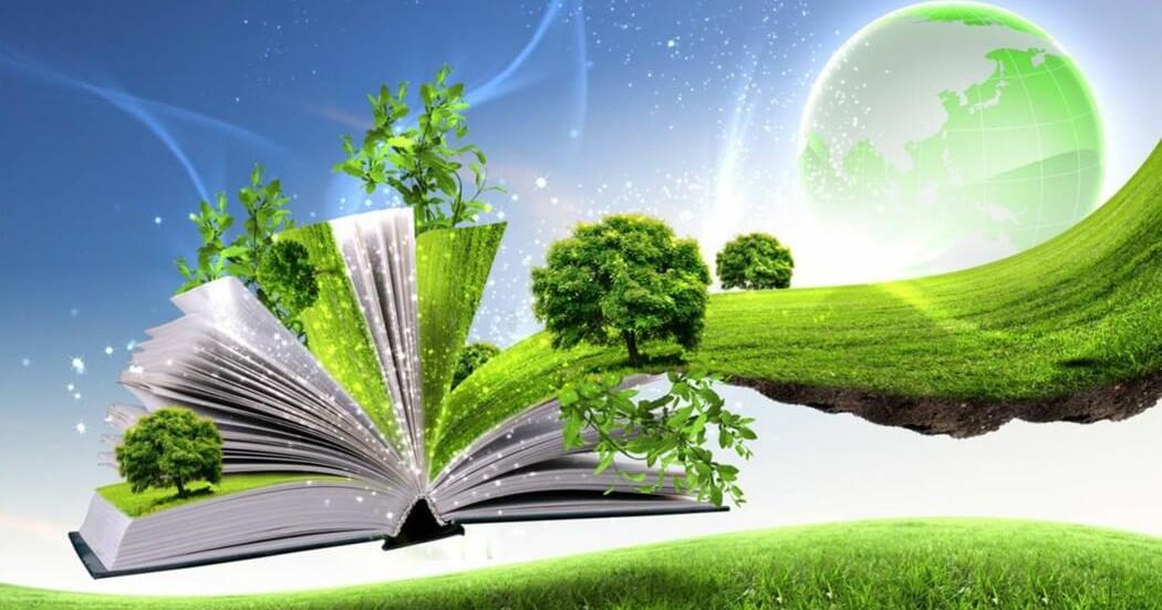 Functionalcollectivellc